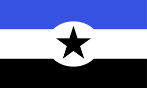 ACA flag 2.webp