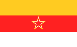 NDS flag.webp