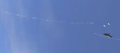 Air Combat