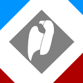 The ensign put on FMC tanks used in battle