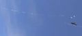 Thumbnail for version as of 01:02, 30 November 2025