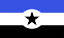 Flag of Anti Cringe Association