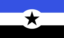 Flag of Anti Cringe Association