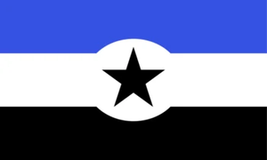 ACAFlag.png