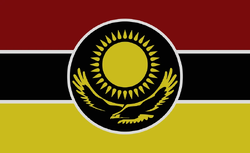 Flag of CASC
